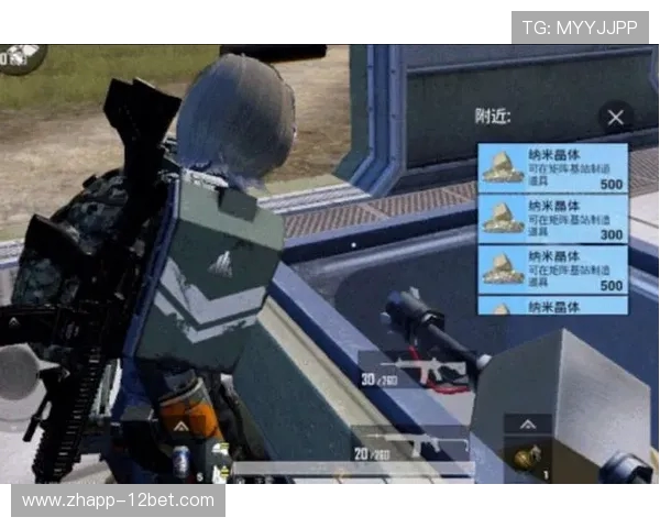 《追逐与逃脱的极限挑战：在贼与逃亡者之间的生死竞速》